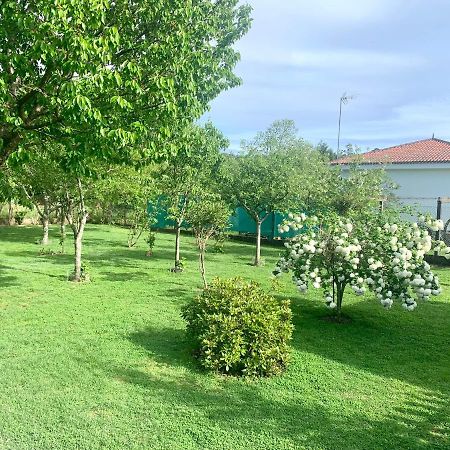 OrtonoA Casa Vermella Con Jardin A 10 Minutos De Santiago De Compostela公寓 外观 照片