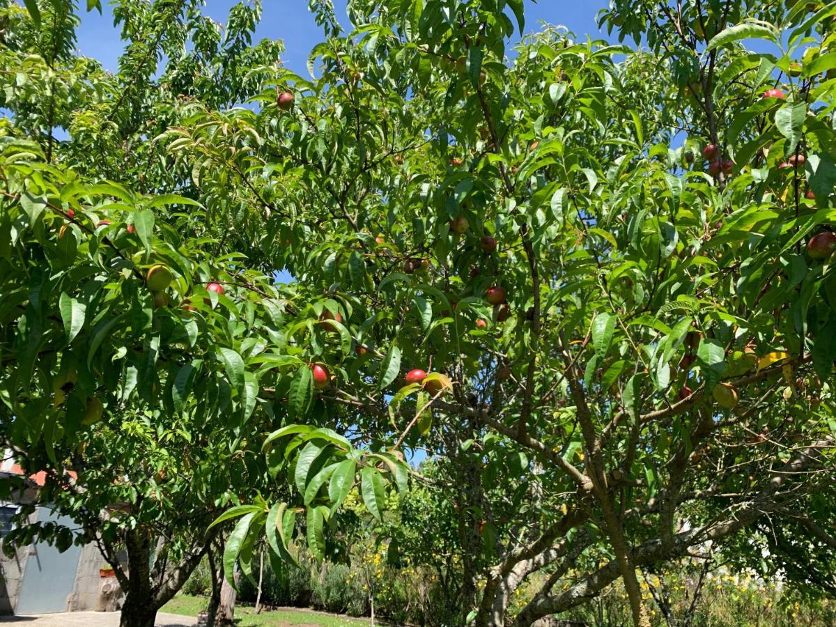 OrtonoA Casa Vermella Con Jardin A 10 Minutos De Santiago De Compostela公寓 外观 照片
