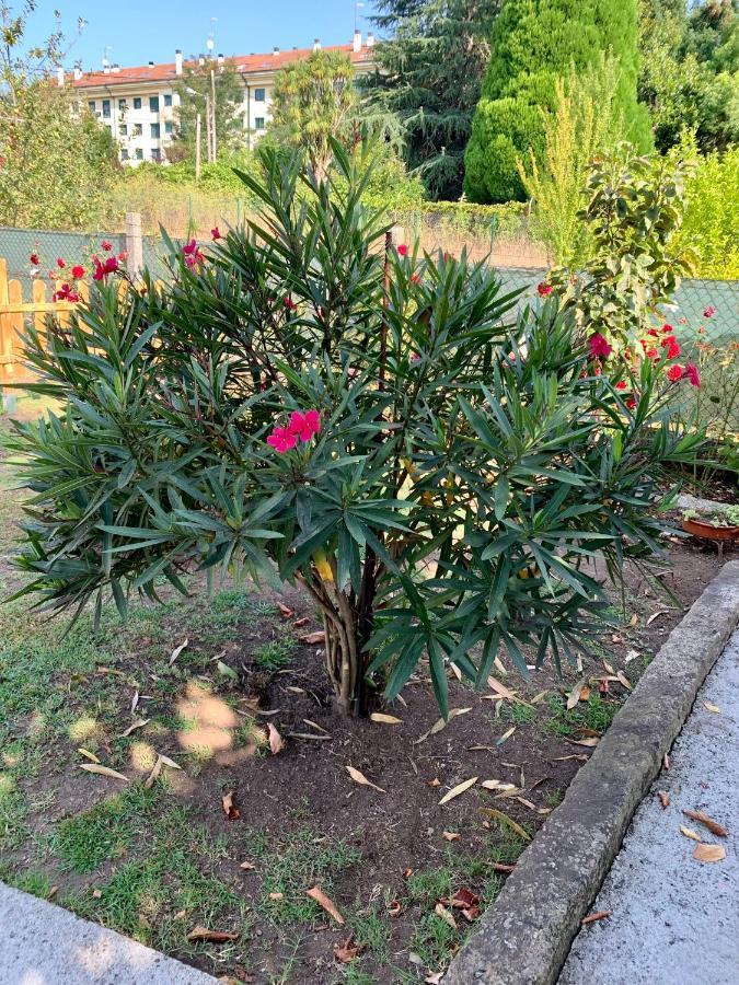 OrtonoA Casa Vermella Con Jardin A 10 Minutos De Santiago De Compostela公寓 外观 照片