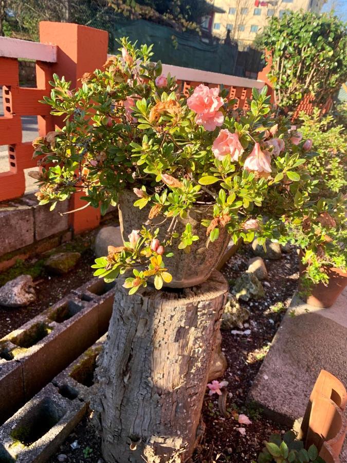 OrtonoA Casa Vermella Con Jardin A 10 Minutos De Santiago De Compostela公寓 外观 照片
